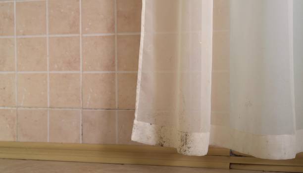 Best Mold Documentation for Insurance Claims  in Hartford, KY