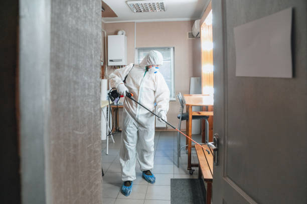 Best HVAC Mold Inspection and Cleaning  in Hartford, KY