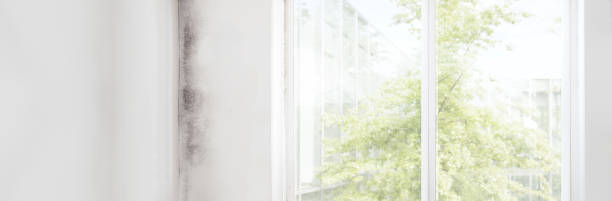 Forensic Mold Investigation in Hartford, KY